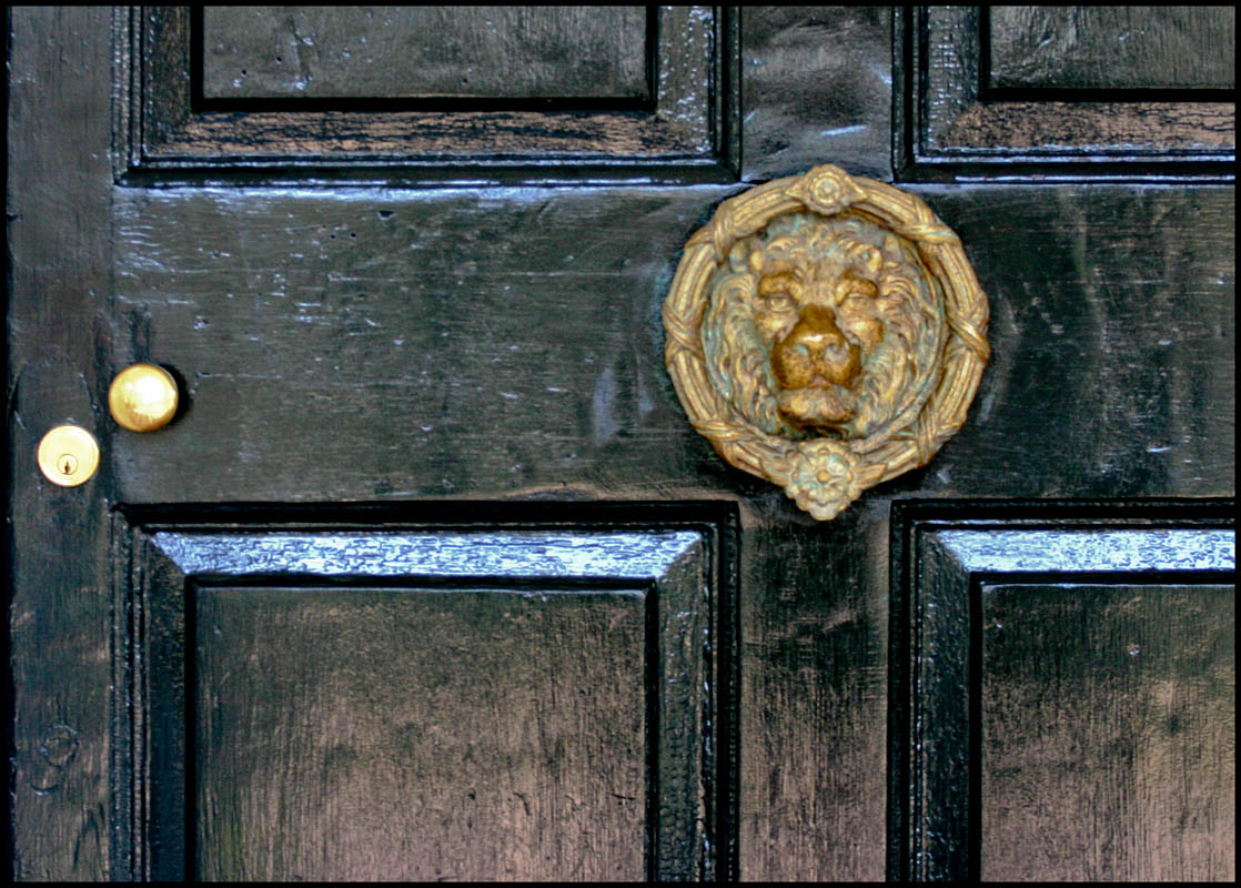 A detail shot of a classic door lion.