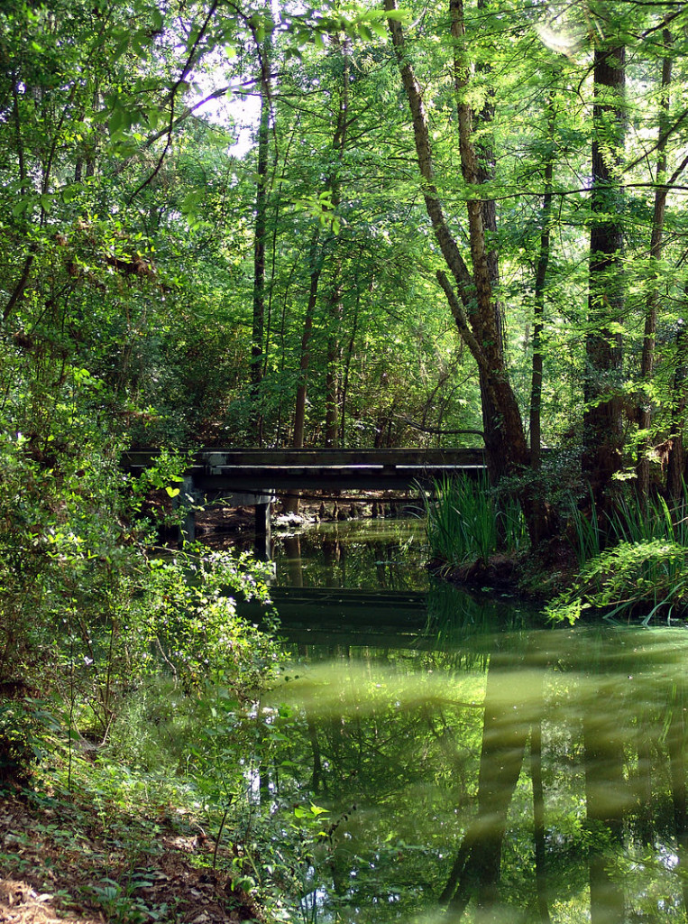 By Trey Perry - http://perrygraph.com/collections/woodlands/products/forest-bridge, CC BY 3.0, https://commons.wikimedia.org/w/index.php?curid=40640541